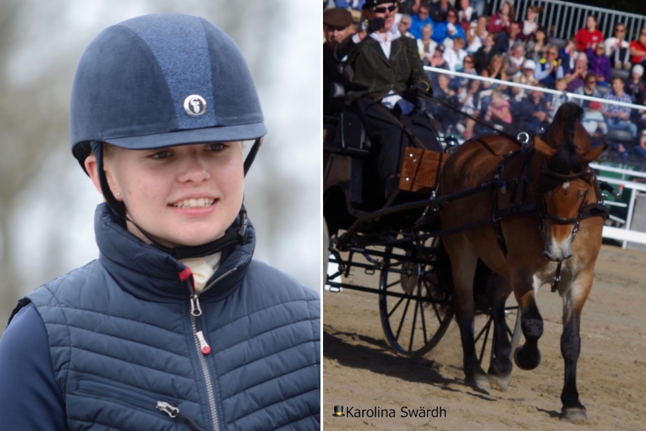 Svenskt i topp efter dressyren