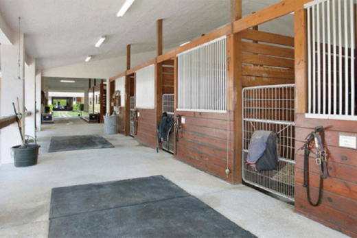 Wellingtons största hästgård är till salu