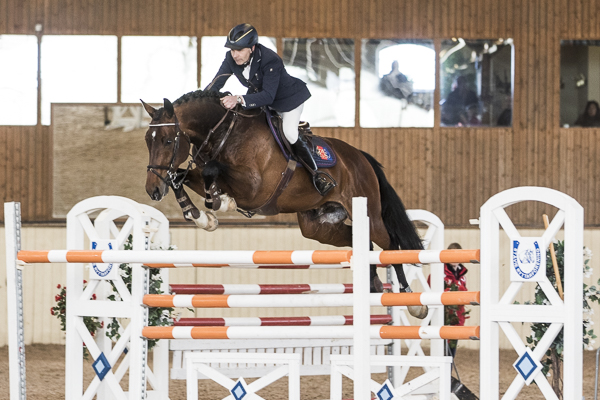 Många hingstar i Stävie