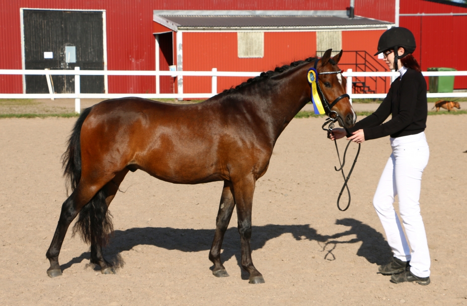 Ace of Diamonds 3-årsesset i Tidaholm