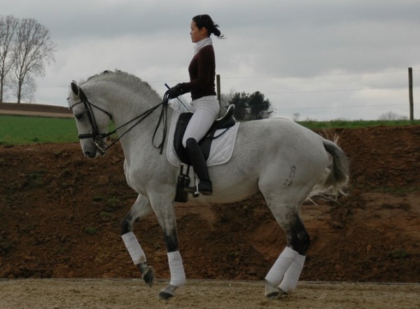 Rubinrot död i hjärtinfarkt