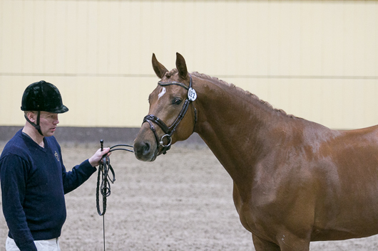 Exteriör för 4-5-åringar klar