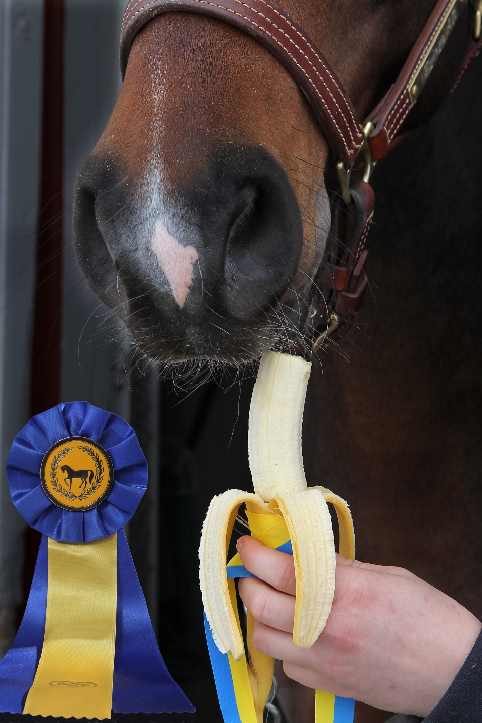 Banan är bättre än äpple!
