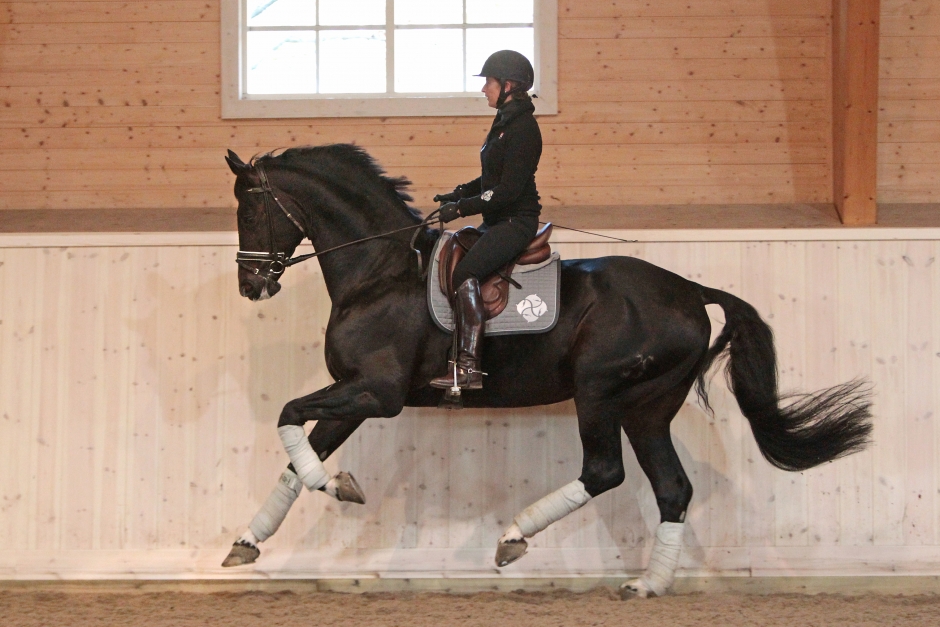 Benetton Dream missar bruksprovet