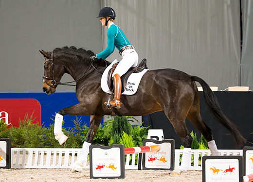 Bomarbete viktigt – även för dressyrryttare