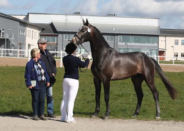 23 diplom i Östergötland
