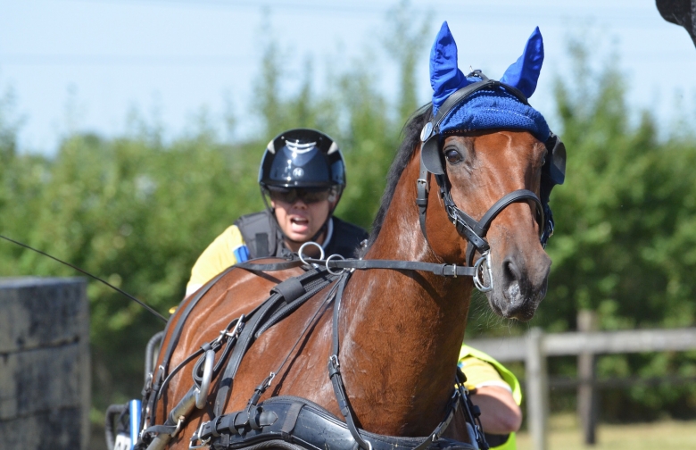 5 000 personer i publiken vid VM i sportkörning