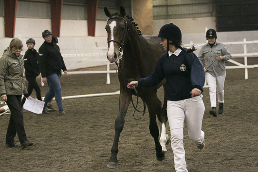 Fem vidare till bruksprov