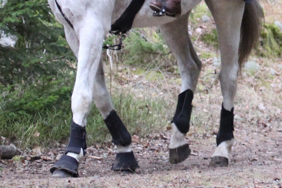 Ryttaren fortfarande på sjukhus efter attacken