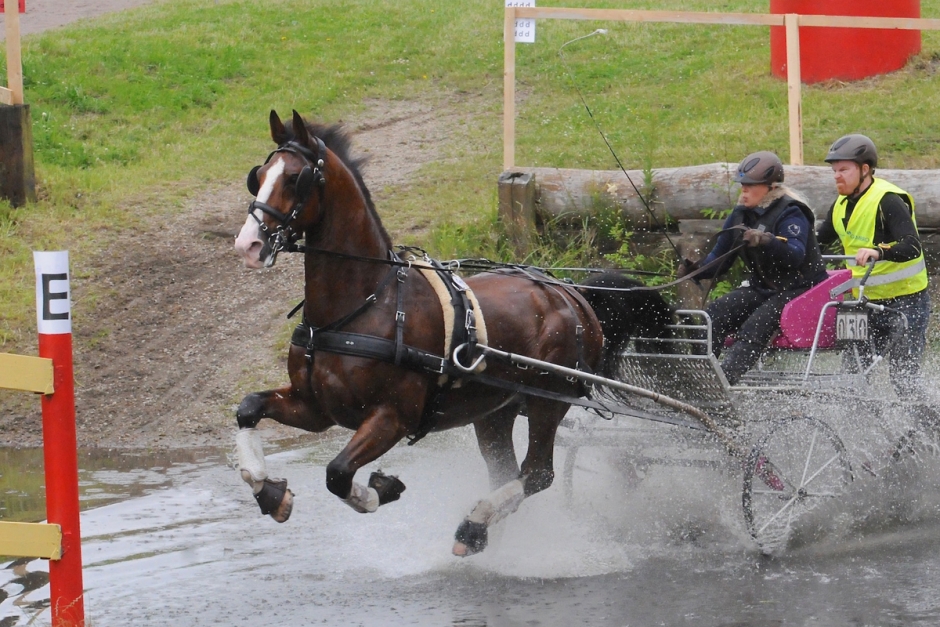 Svår, medelsvår och full fart på Flyinge