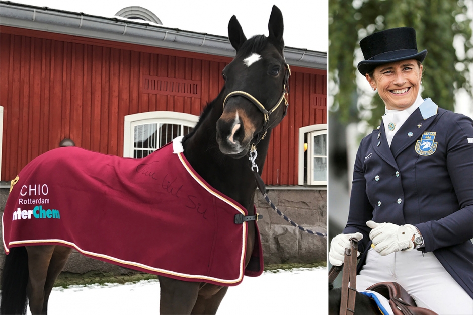 Bjud på Tinnes vinnartäcke