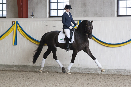 Sohn der Sonne till Ryssland