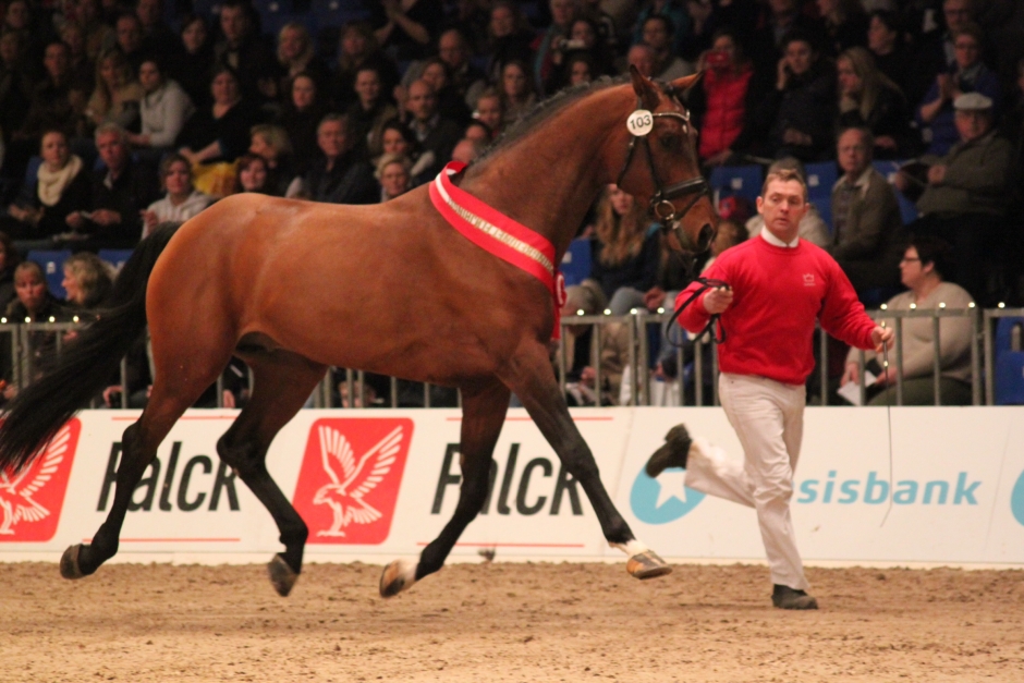 Chandler och Zonik bästa 4-åringar