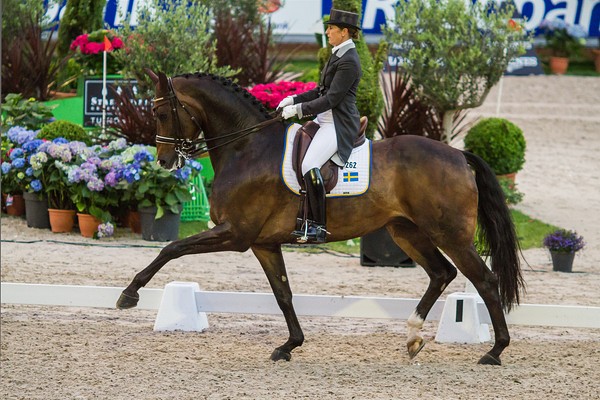 Valegro i storform – Tinne trea