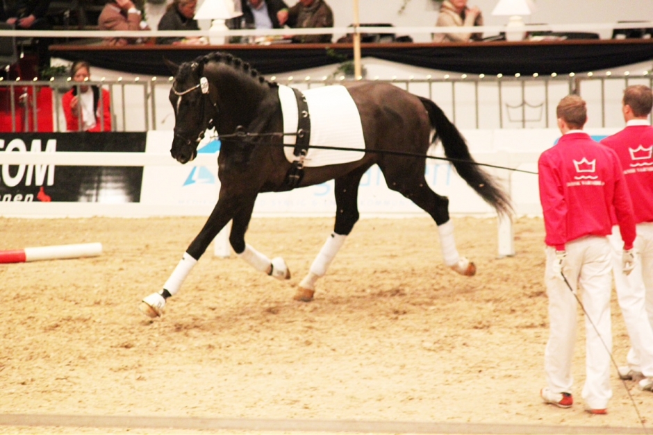 Urvalet klart i Herning