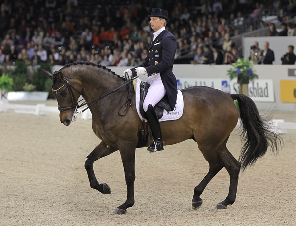 Dressyrfinalen i korthet