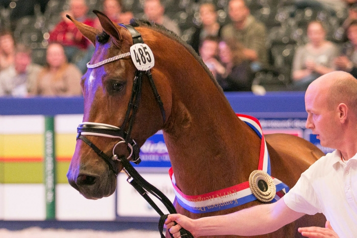 Tvisten om Handsome O inne på andra året