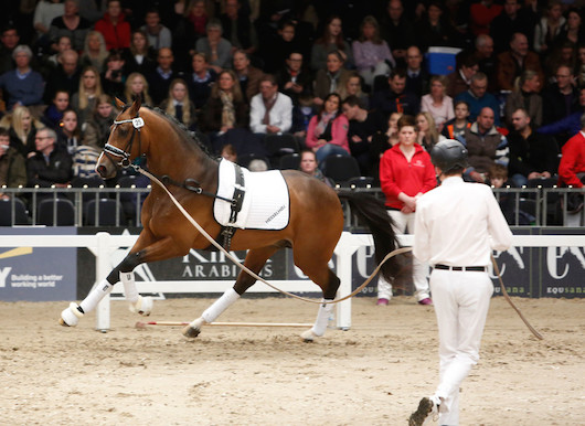 3-åringar selekterade i DWB