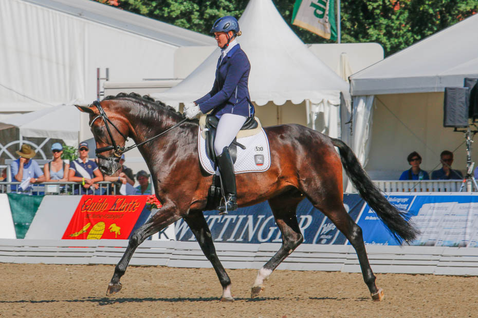 Femton finalister klara