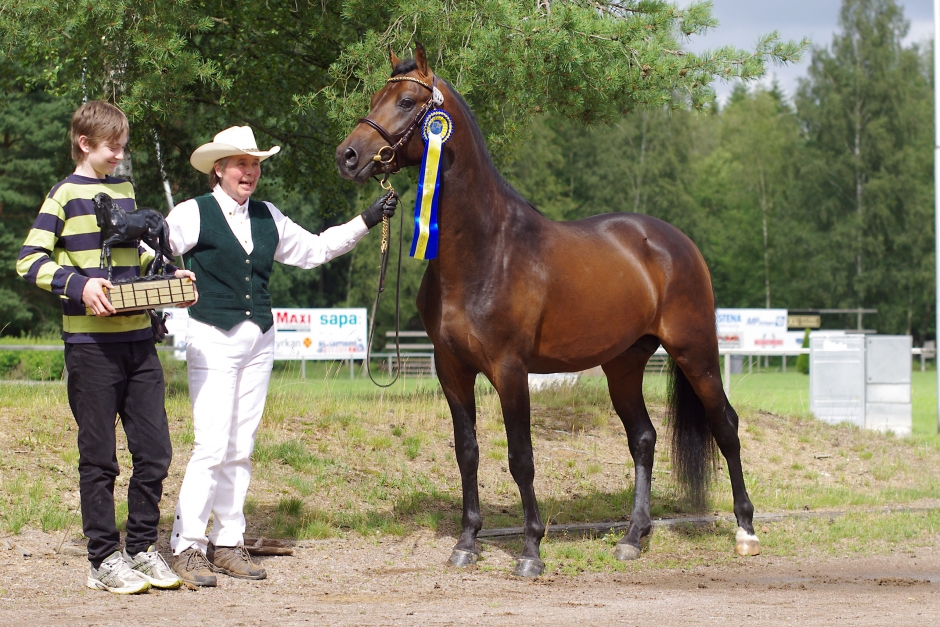 Magnum Classic blev BIS