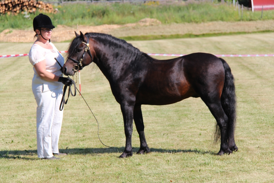 Rana’s Orkan blev champion