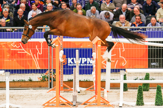 Hopphingstar i kubik