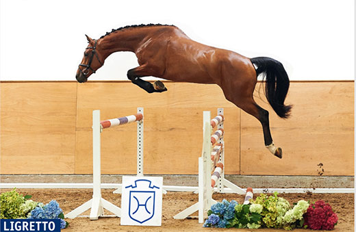 Goda grannar sponsrar Douglas