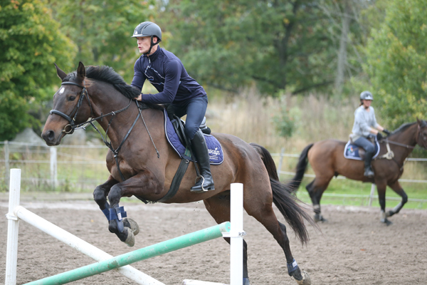 Stjärnorna tränar för Globen