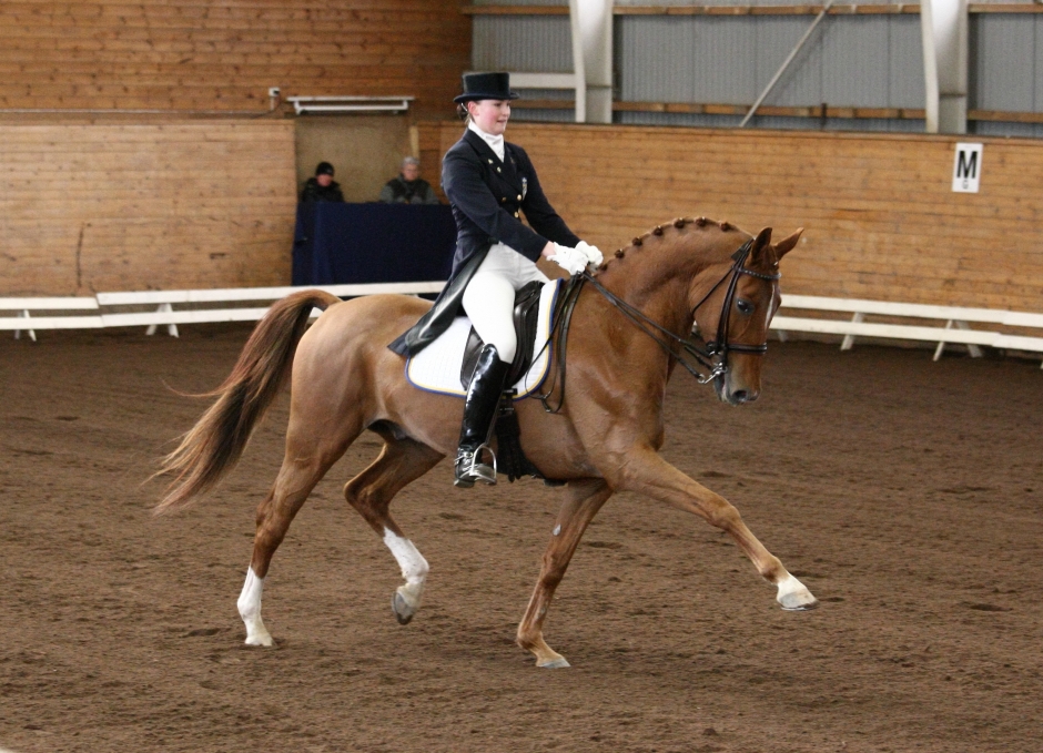 Ruskväder för påskryttare