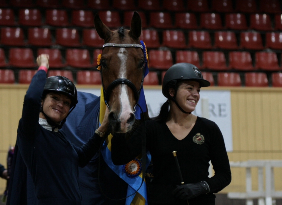 Maddox 3-årschampion