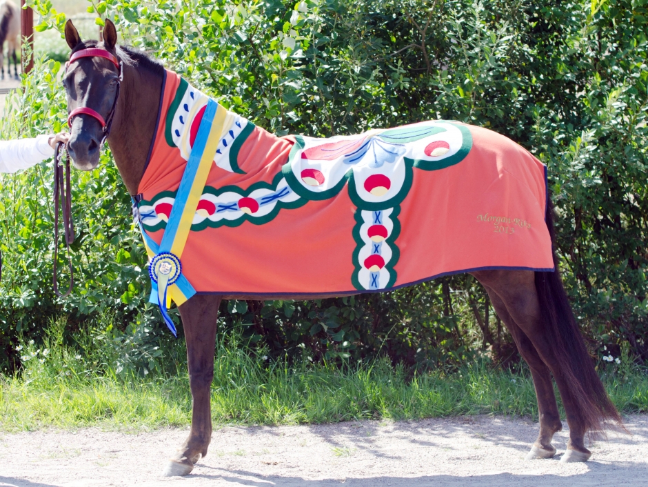 Stona bäst på Morganriks