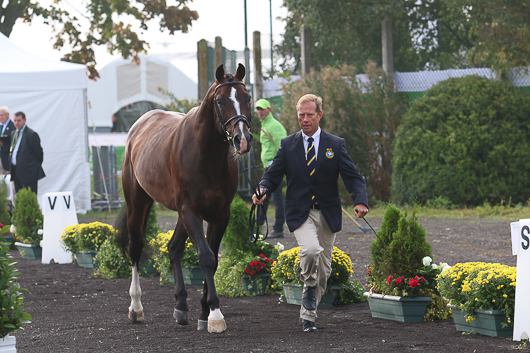 Casall Ask var bäst 2015