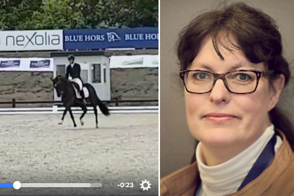 Hästvettiga regler efterlyses