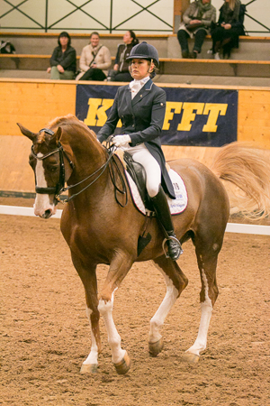 Hästspark bröt Brolins arm