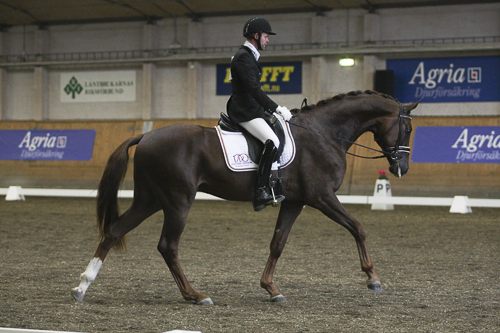 Glänsande 3-årstalanger till final