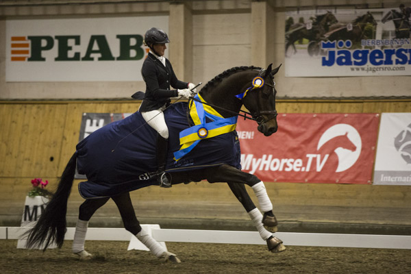 Testrytteri med knorr