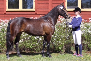 Holmtebo Angel dagens vinnare