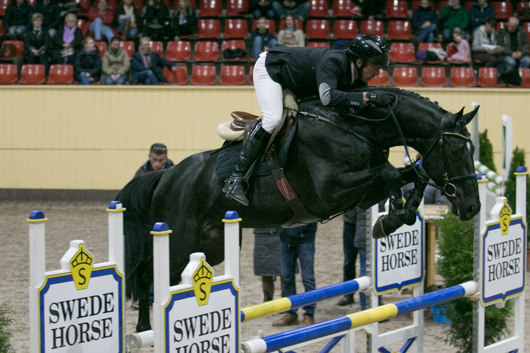 Årskrönika Avel 2015