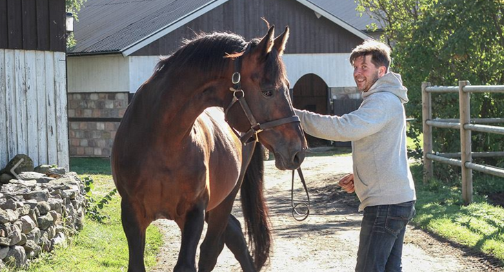 Fasta rutiner ger lättjobbad hingst