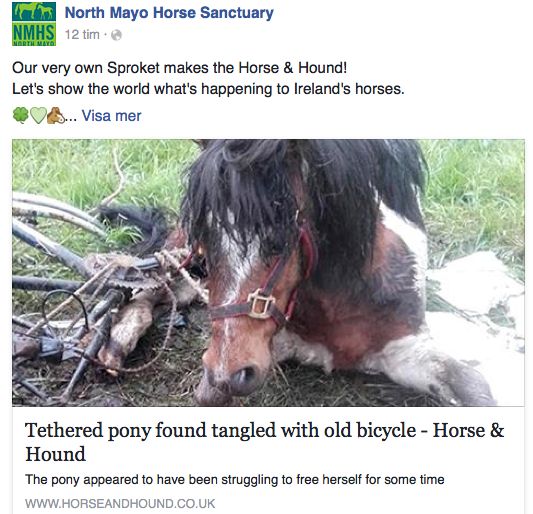 Ponny hittades intrasslad i cykel