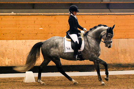 Yngst bäst i Dressyrringens final