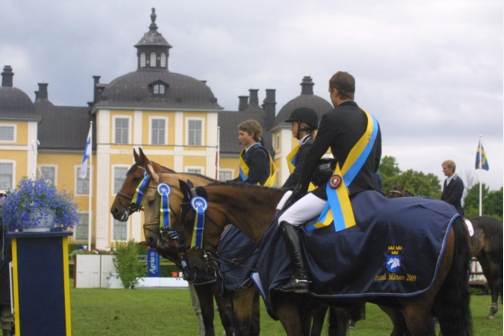 Dags för Strömsholms hästfest