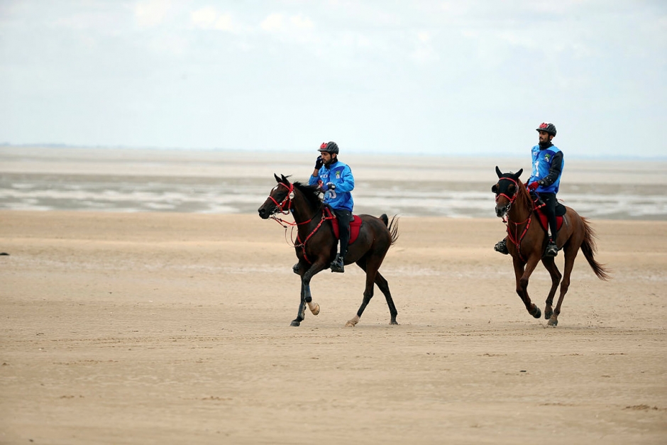 Stopp för svenska distansryttare i Saudi