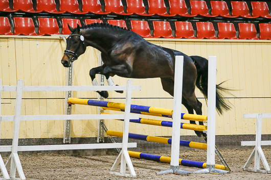 Första löshoppningspasset klart