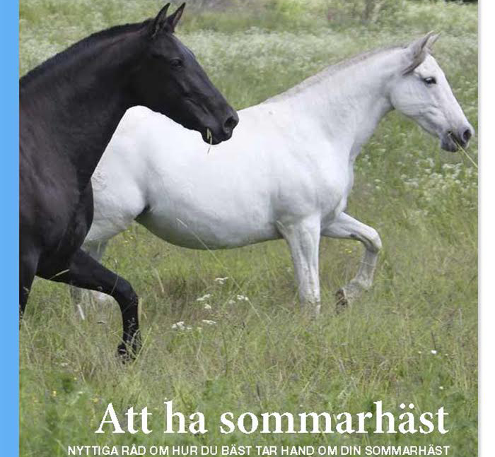 Ny bok om att ha sommarhäst