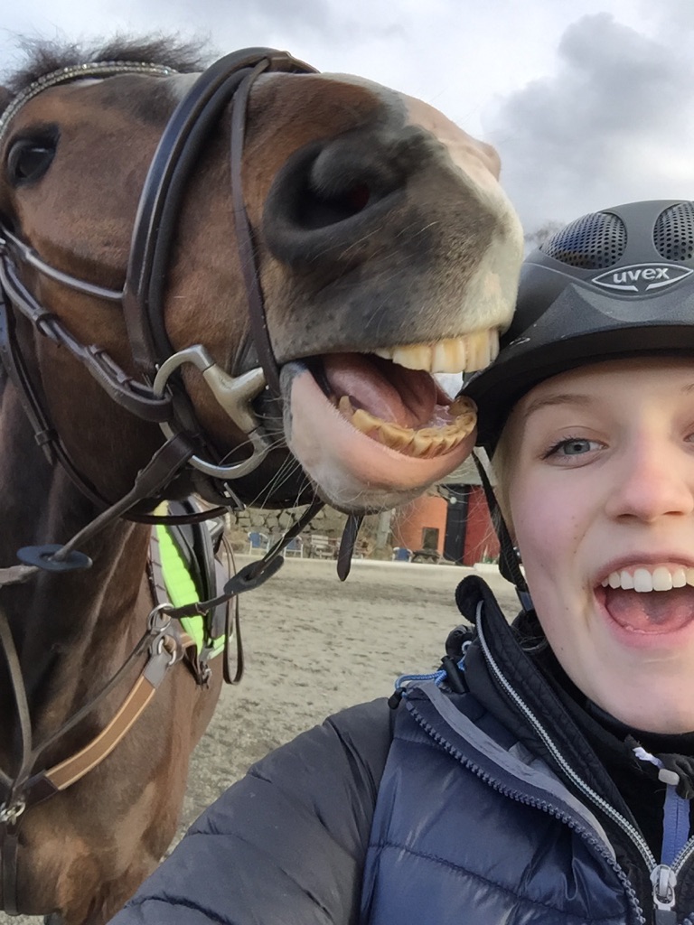 ta-en-selfie-p-dig-och-din-h-st-ridsport