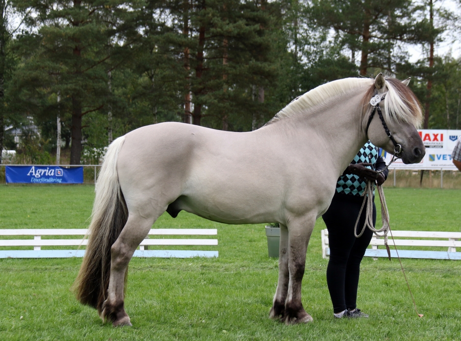 Gandhi 283 blev Best in Show