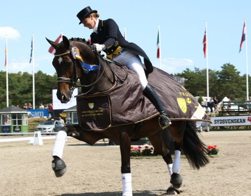 Svensktrio i WDM-dressyren