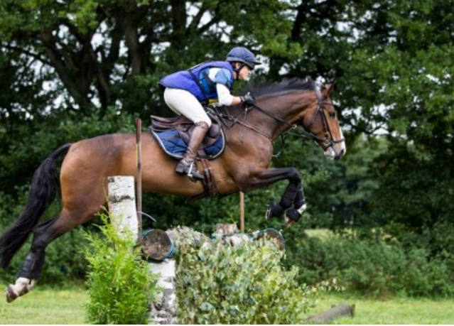 Ny tävlingsform för unghästar