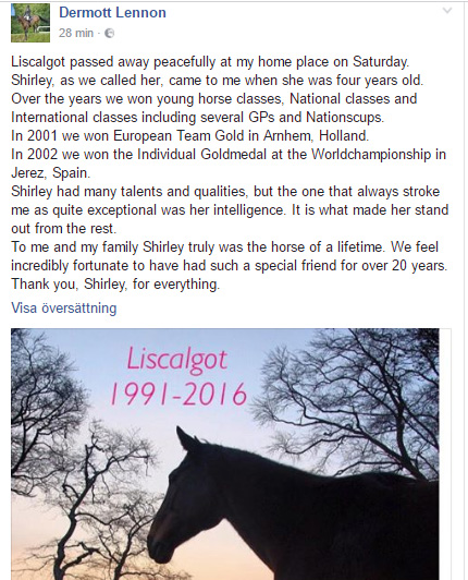 S&aring; h&auml;r beskriver Dermot Lennon sin VM-vinnare Liscalgot.